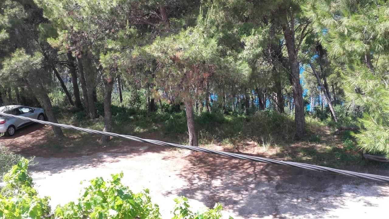 Villa Mateja Donji Okrug  Exteriör bild