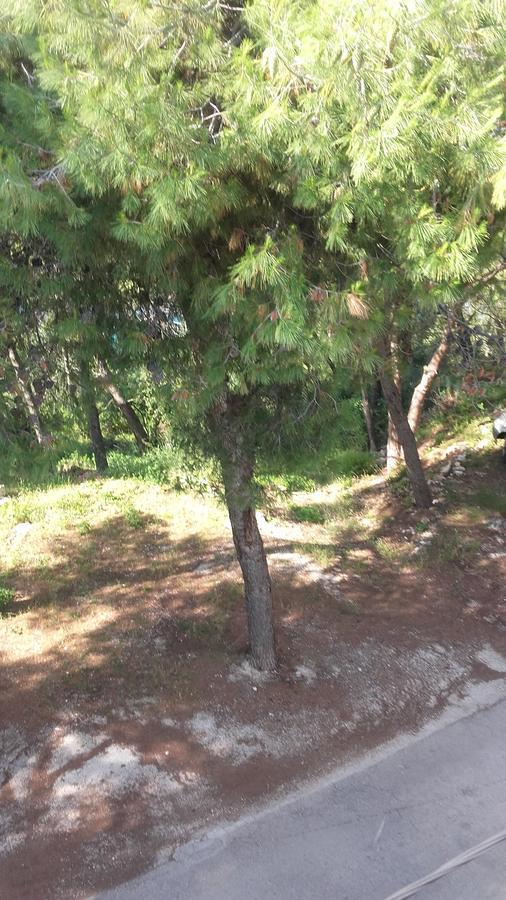 Villa Mateja Donji Okrug  Exteriör bild
